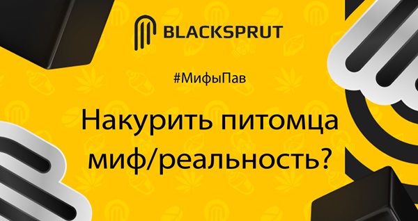 Код аккаунта blacksprut как узнать