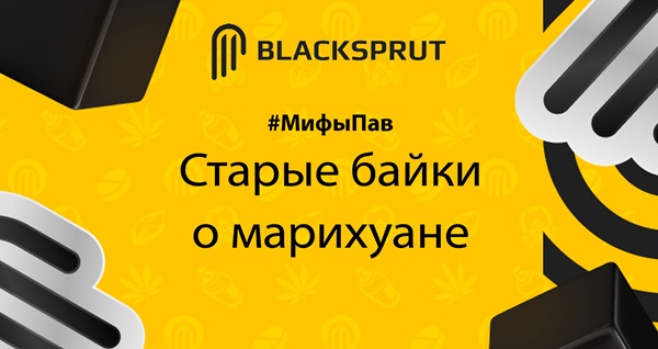 Ссылка на блекспрут