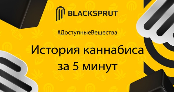 BlackSprut ссылка 2kmp biz