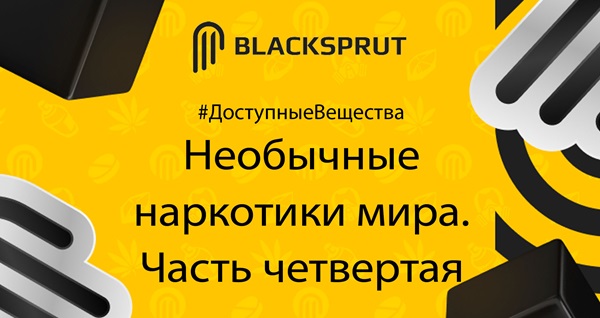Как зайти на BlackSprut сегодня